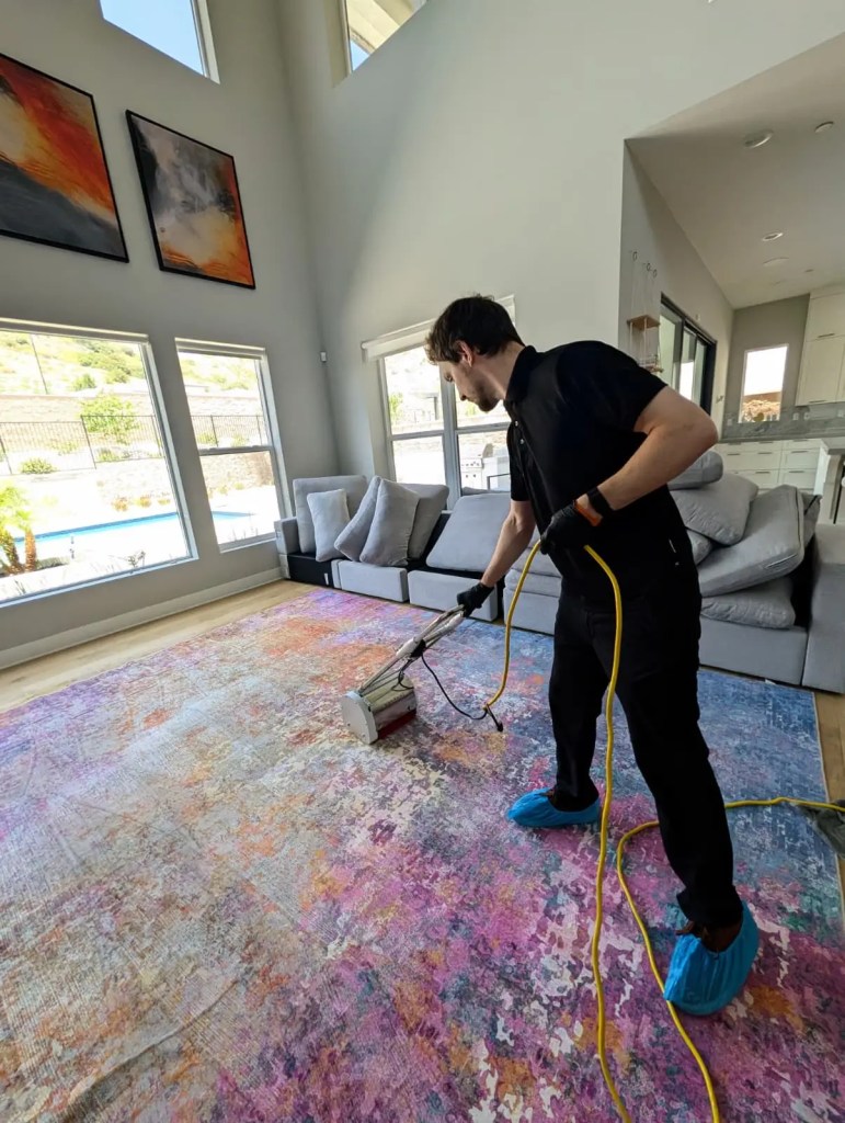 Professional area rug cleaning with specialized equipment