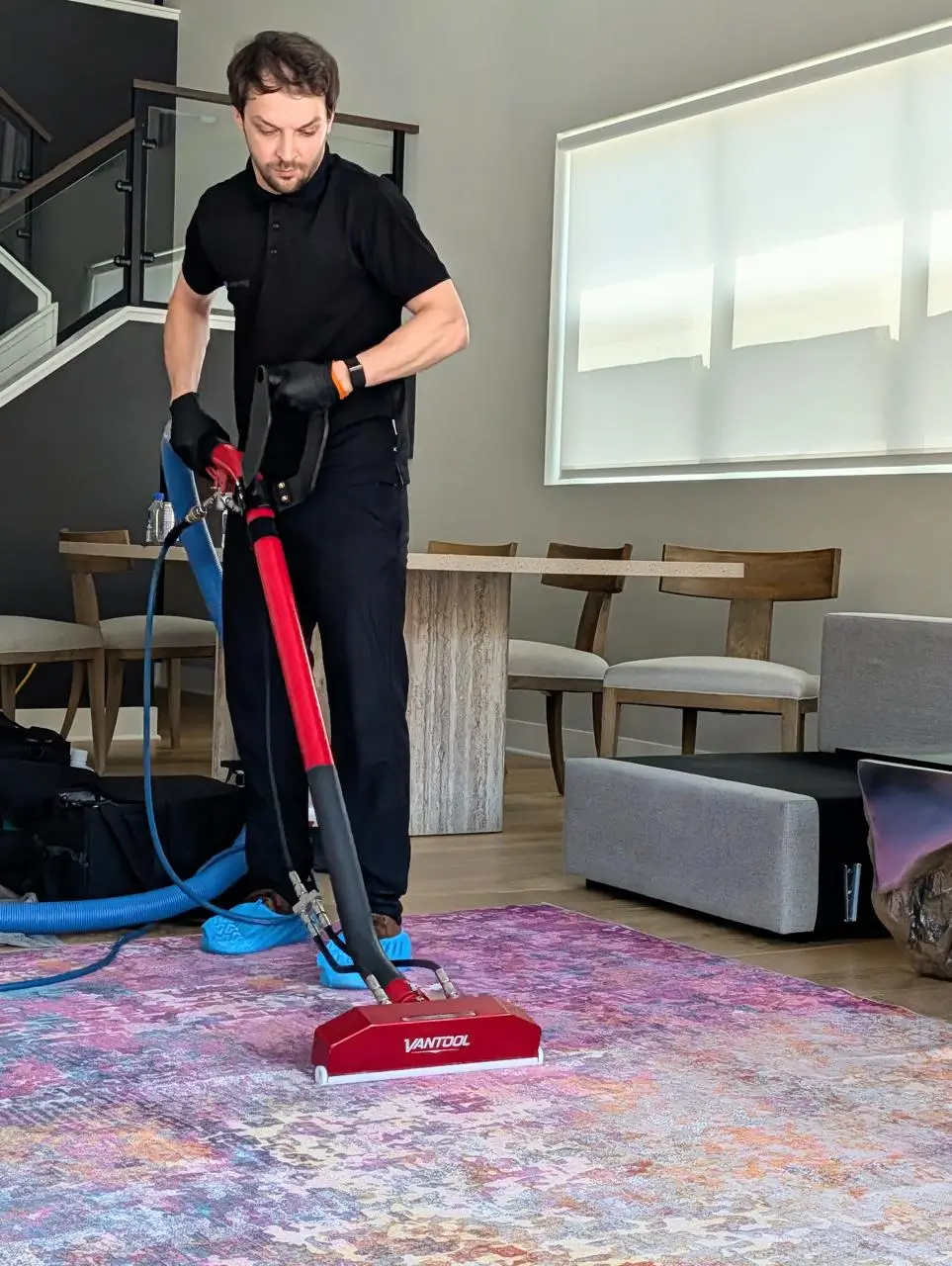 Professional area rug cleaning with specialized equipment