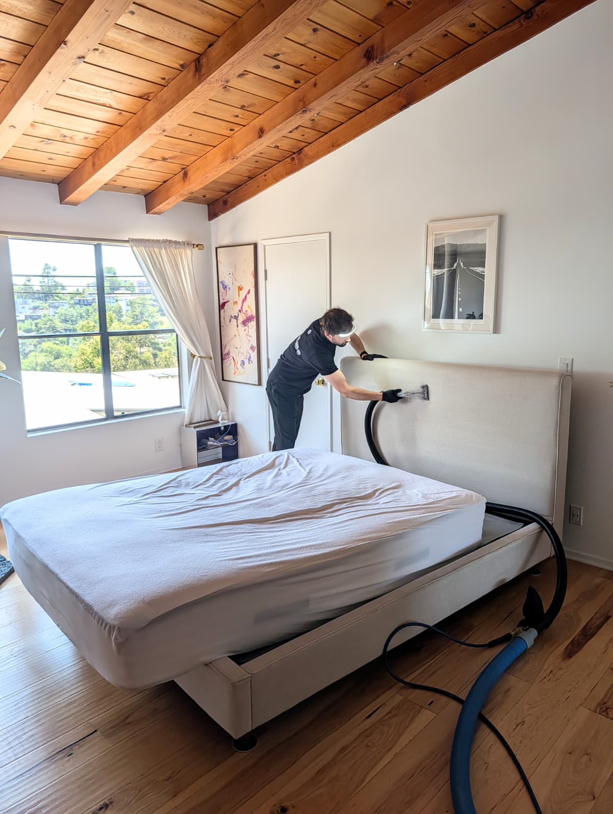 Why DIY Upholstery Cleaning Can Make Stains Worse