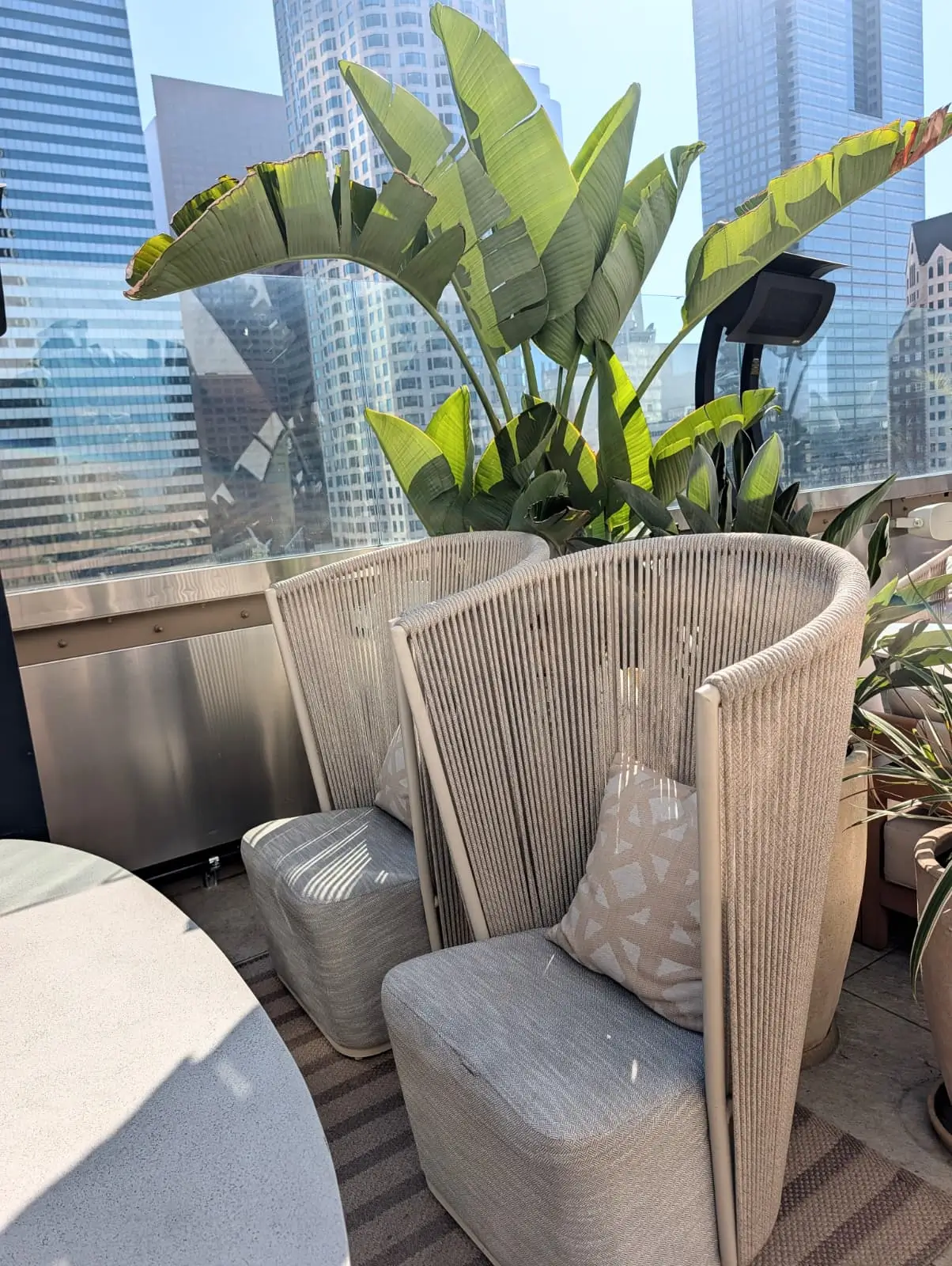 Tall upholstered rooftop lounge chairs beside large green plants