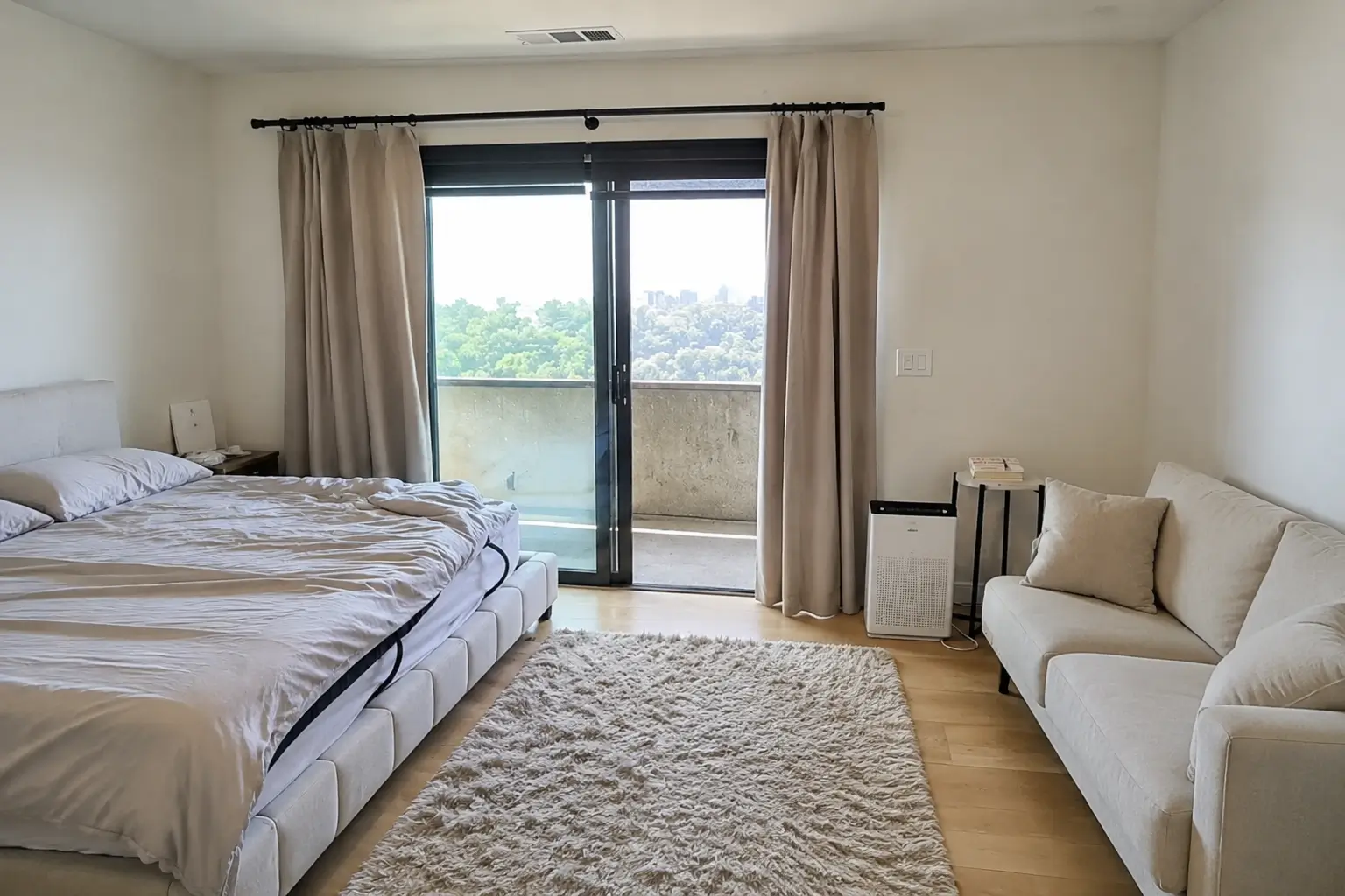 Wool Rug Cleaning in Los Angeles: A Sofa and Mattress Project